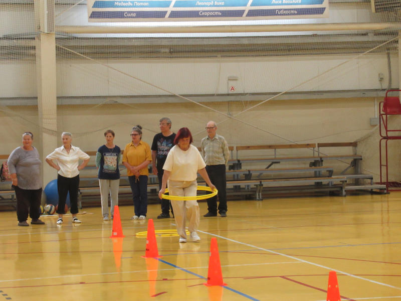 «Спортивная мозаика»